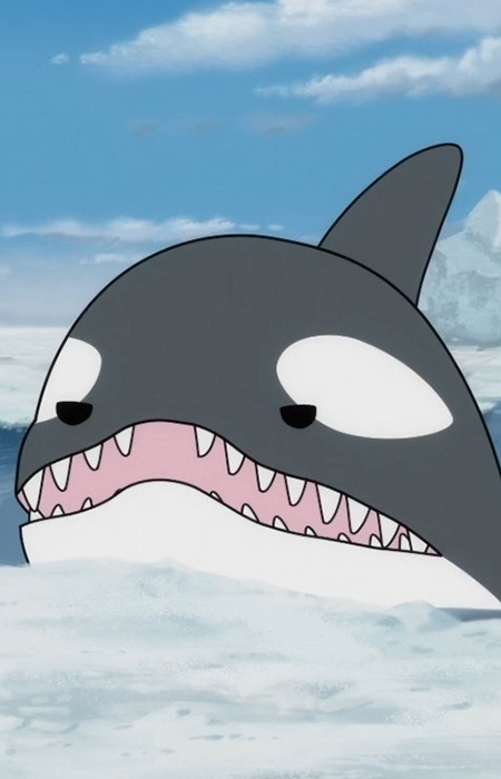 Gambar Karakter Killer Whale A