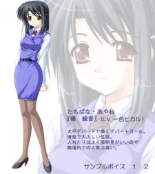 Gambar Karakter Anime: Ayane Tachibana