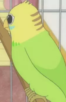 Gambar Karakter Anime: Lucky