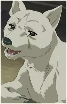 Gambar Karakter Anime: Sakura