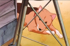 Gambar Karakter Tenmaru