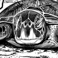 Gambar Karakter Ginpei