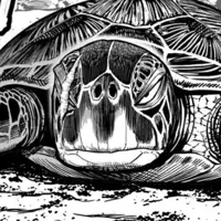 Gambar Karakter Anime: Ginpei