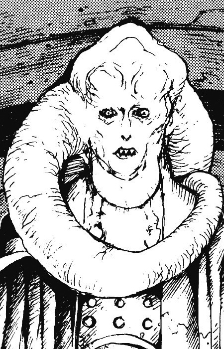 Gambar Karakter Bib Fortuna