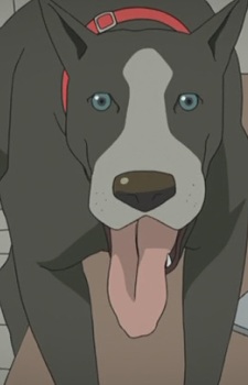 Gambar Karakter Washington