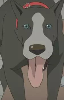 Gambar Karakter Anime: Washington