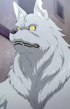 Gambar Karakter Anime: Wolfgang von Kraftman