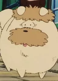 Gambar Karakter Anime: Shindobukku