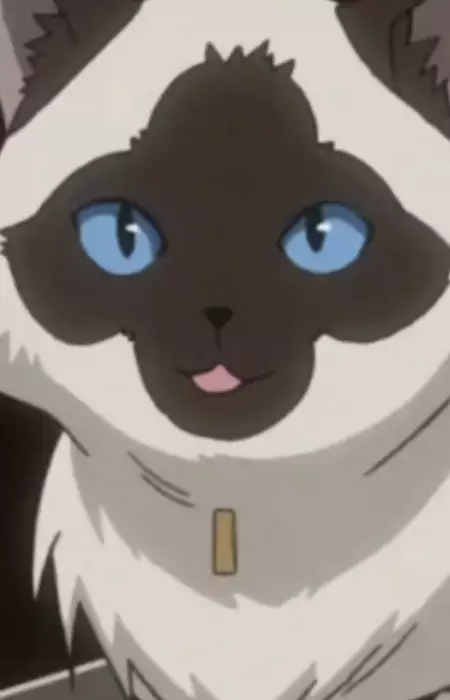 Gambar Karakter Anime: Caba Cat