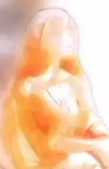 Gambar Karakter Anime: Mingfei Lu's Mother