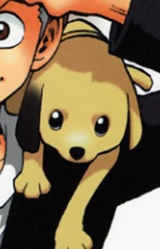 Gambar Karakter Toto