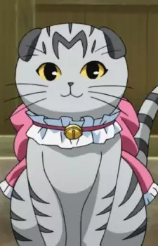 Gambar Karakter Anime: Cindy