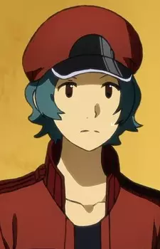 Gambar Karakter Anime: Sekkekkyuu