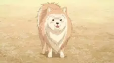 Gambar Karakter Anime: Lucky