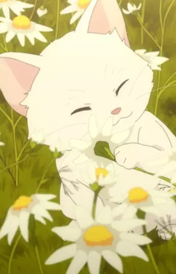 Gambar Karakter Anime: Hana