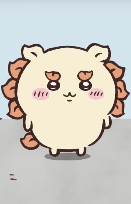 Gambar Karakter Shisa