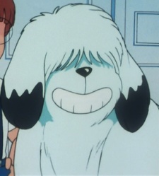 Gambar Karakter Anime: Adam