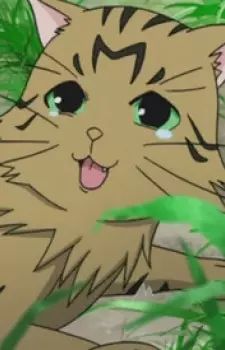 Gambar Karakter Anime: Stray Cat