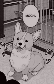 Gambar Karakter Anime: Mochi