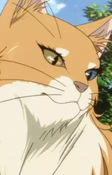 Gambar Karakter Anime: Molly