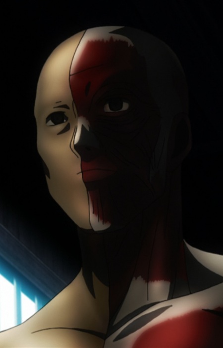 Gambar Karakter Anatomical Model