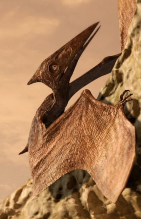 Gambar Karakter Nemicolopterus