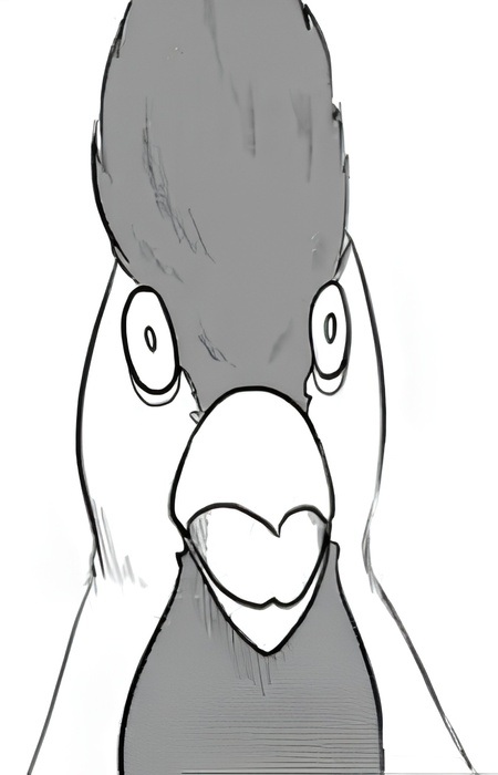 Gambar Karakter Coco Doodle Doo