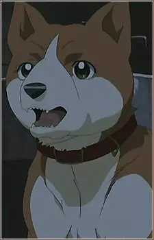 Gambar Karakter Anime: Reika