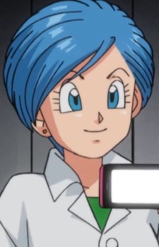 Gambar Bulma