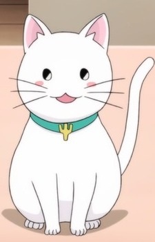 Gambar Karakter Warp