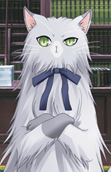 Gambar Nico