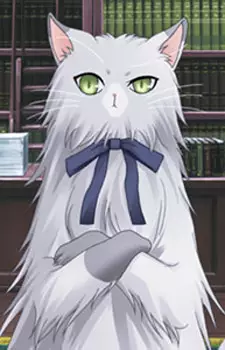 Gambar Karakter Anime: Nico