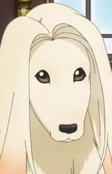 Gambar Karakter Anime: Saburou