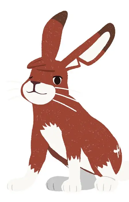 Gambar Karakter Anime: Usagizaki-senpai