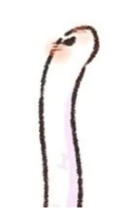 Gambar Karakter Balingjun