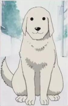 Gambar Karakter Anime: Tadakichi-san