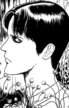 Gambar Karakter Anime: Akasaka