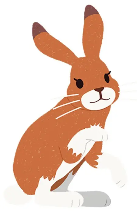 Gambar Karakter Anime: Usao's Mom