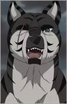 Gambar Karakter Anime: Kurotora