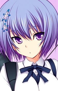 Gambar Karakter Miyako Shiina