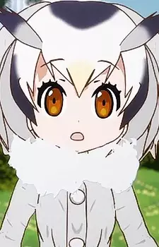 Gambar Karakter Anime: Northern White-faced Owl