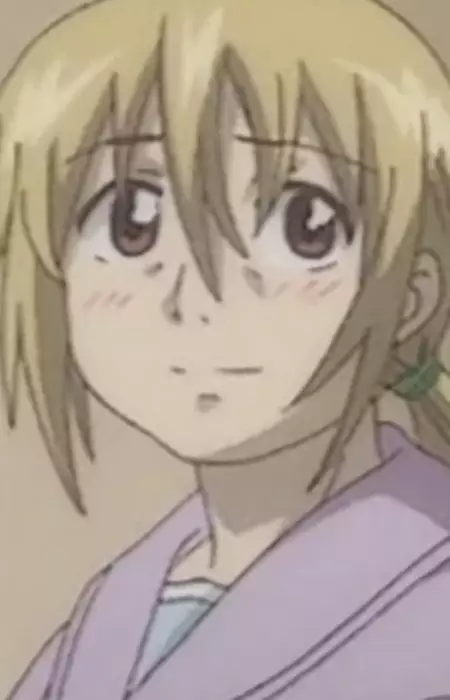 Gambar Karakter Anime: Kirino's Mother