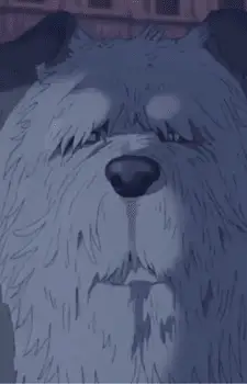 Old Dog