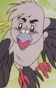 Gambar Karakter Fairy Pigeon