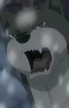 Gambar Karakter Anime: Shintarou