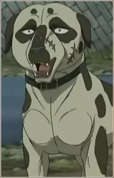 Gambar Karakter Anime: Hook