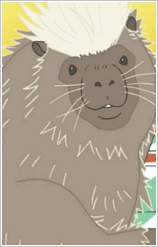 Gambar Karakter Canada Yamaarashi