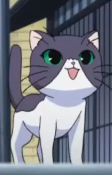 Gambar Karakter Anime: Komasa