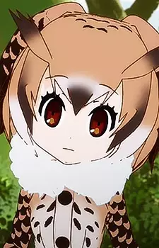 Gambar Karakter Anime: Eurasian Eagle-owl