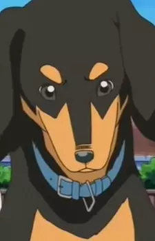 Gambar Karakter Anime: Sora